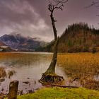 Leopoldsteinersee / Steiermark / Österreich 