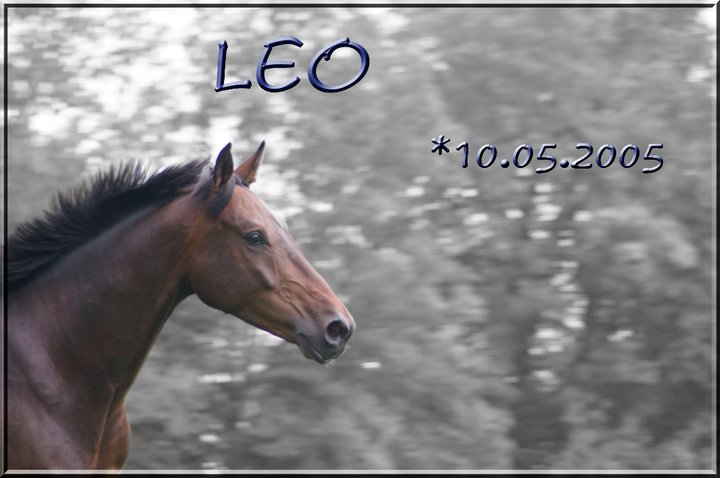 Leo´s Türschild