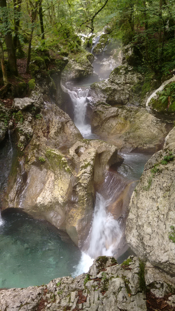 Lepenja in Slovenien