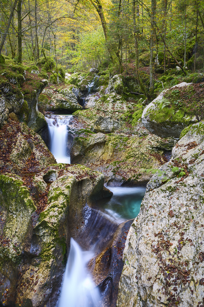 Lepenjica