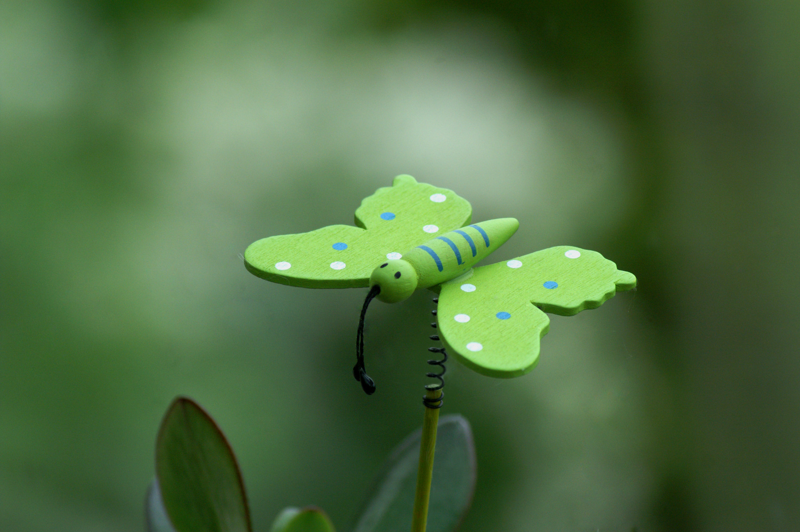 Lepidoptera Imitatis