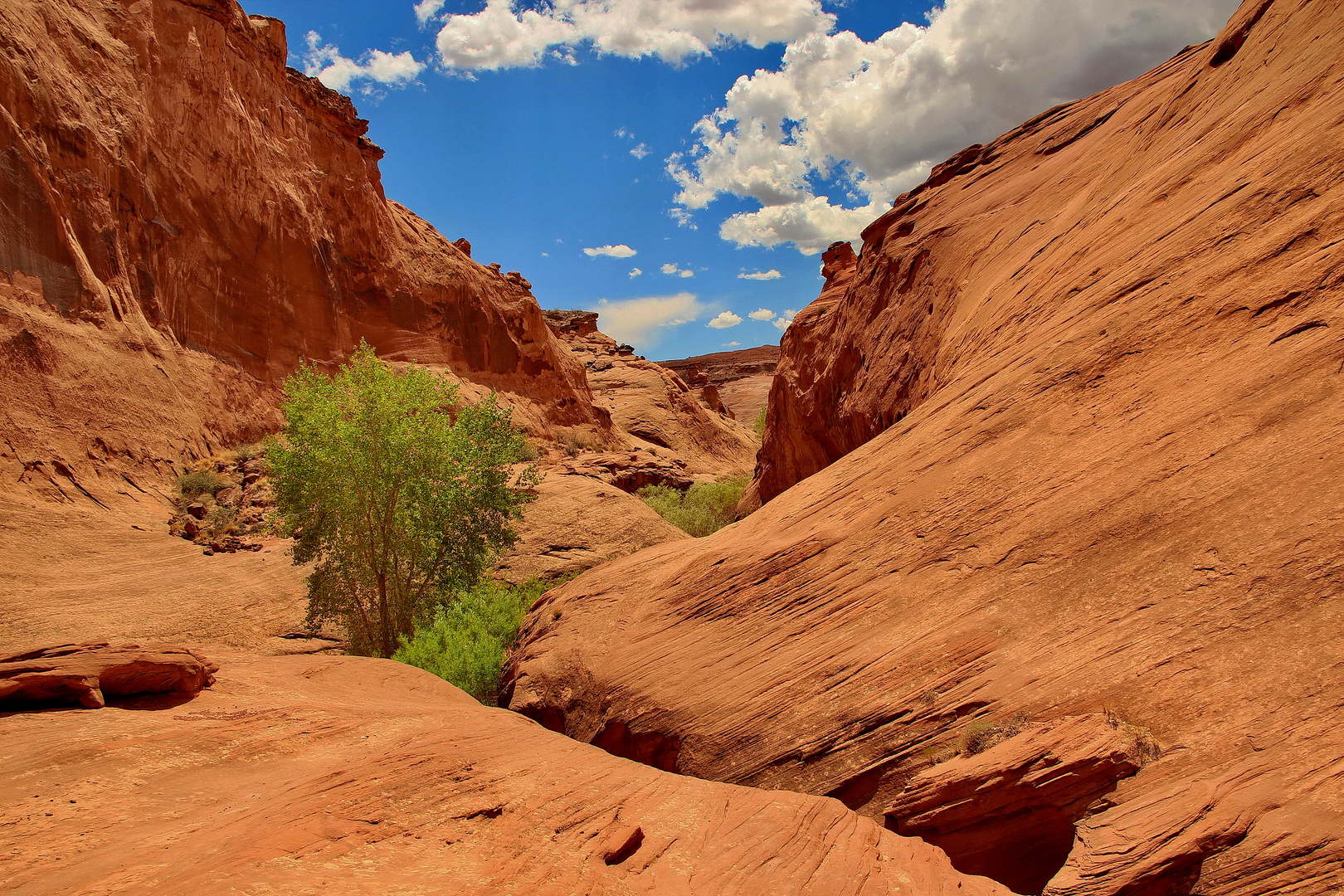 Leprechaun Canyon