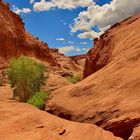 Leprechaun Canyon