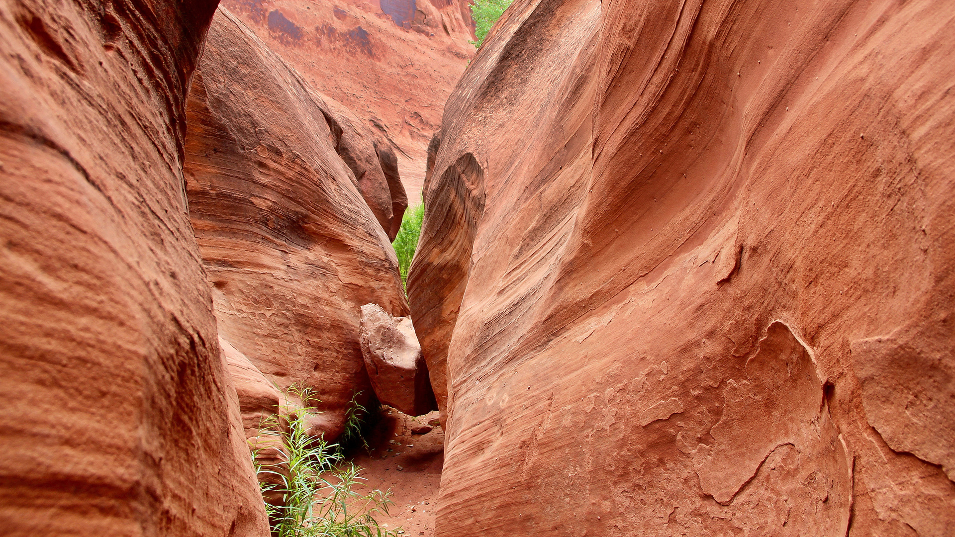 Leprechaun Canyon