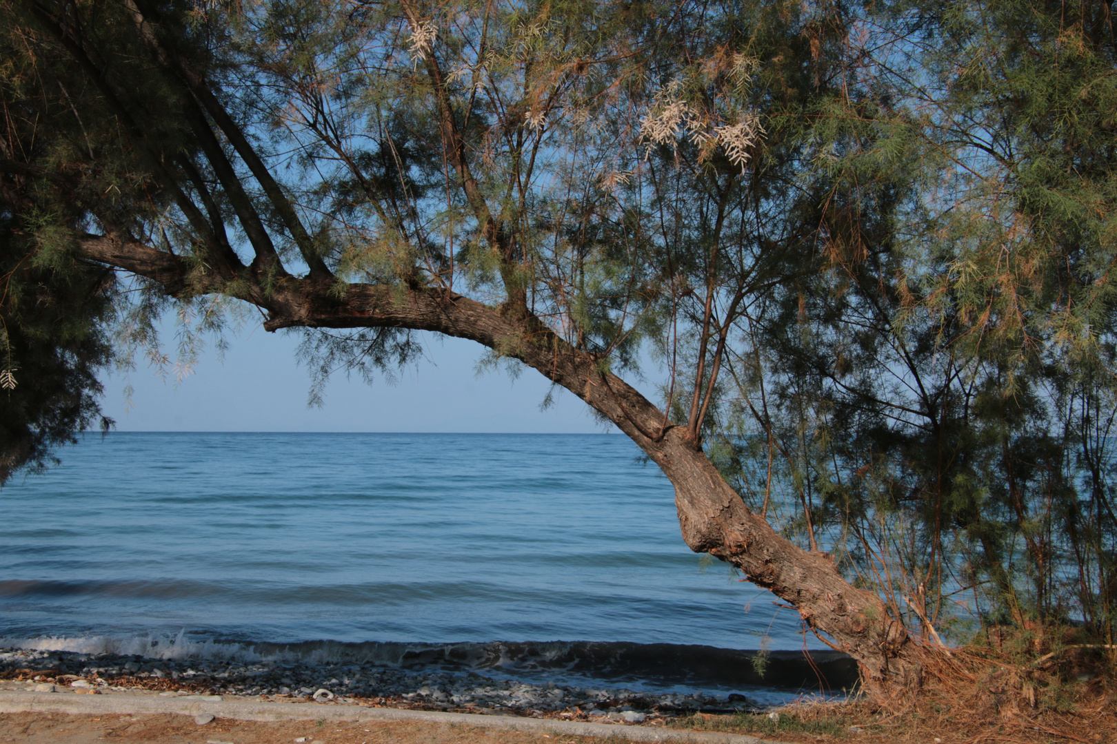 Leptokarya beach - Greece 2023