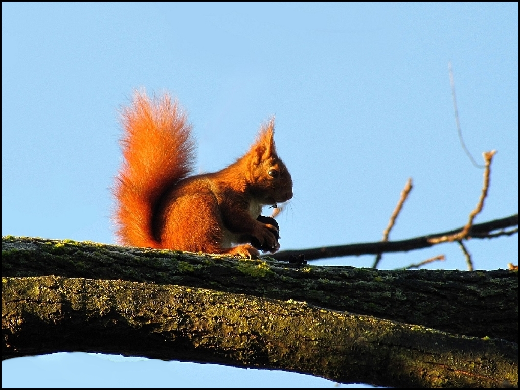 L'Equilibriste !