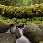 Lerautal bei Leuchtenberg