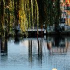 L'Erdre bleue 