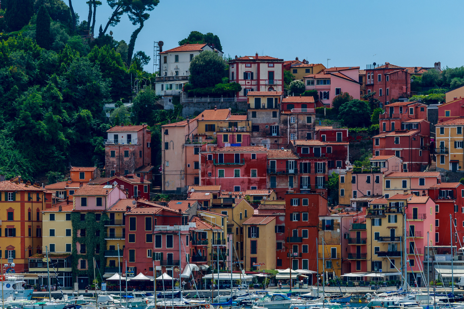 Lerici #1