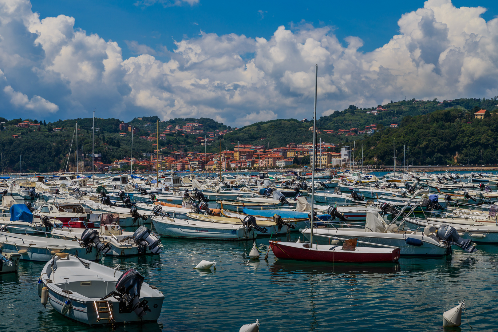 Lerici #5