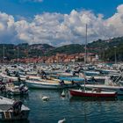 Lerici #5