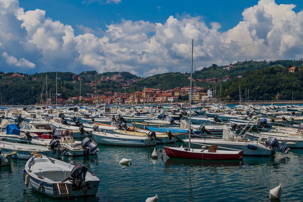 Lerici #5