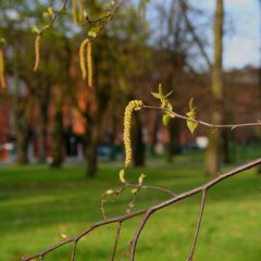 Lernen im Frühling - learning in spring