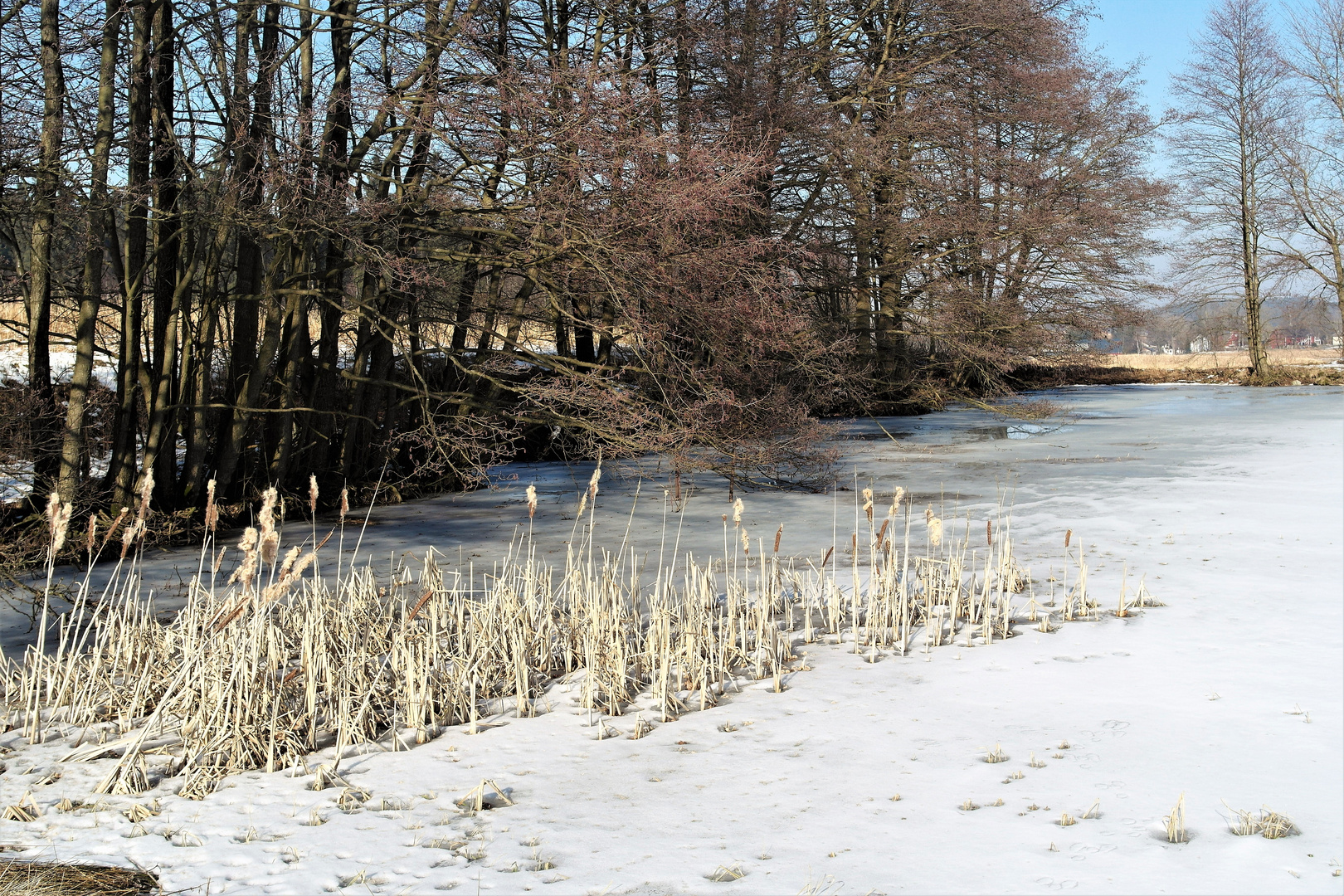 Lernschwimmteich noch unter Eis 