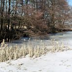 Lernschwimmteich noch unter Eis 