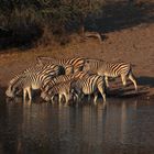 Leroo La Tau, Makgadikgadi pan, Botswana