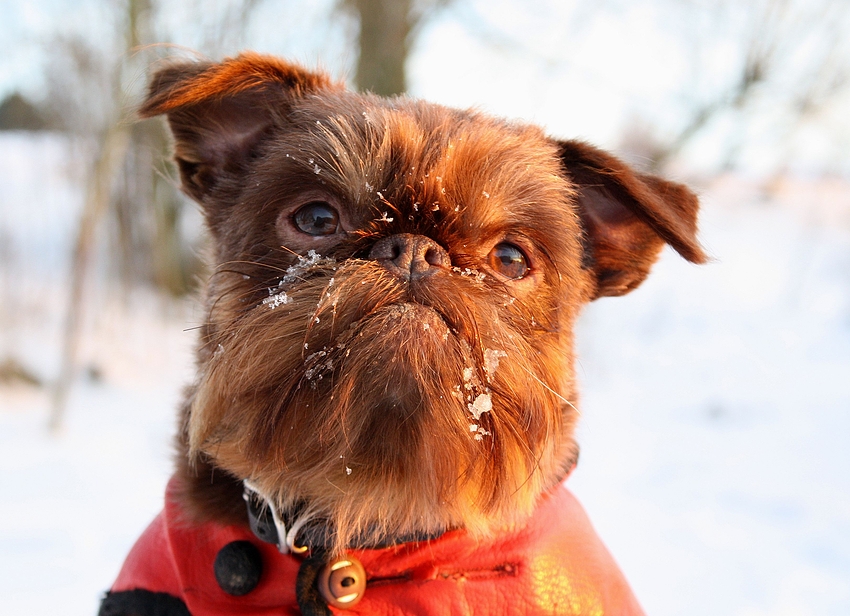 Leroy Portrait