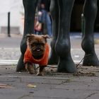 Leroy rockt die große Stadt! ;)