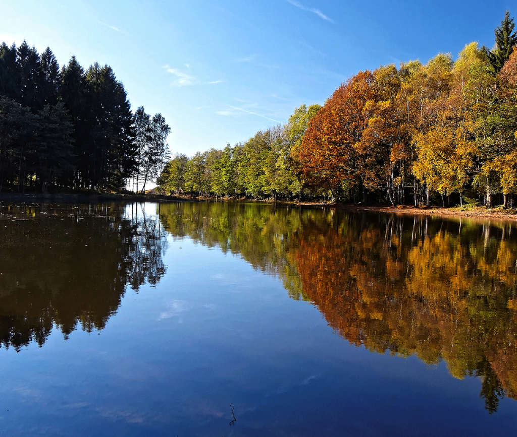 les 1000 étangs dans les Vosges  