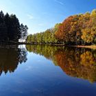 les 1000 étangs dans les Vosges  