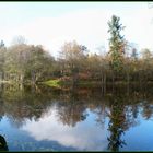 les 1000 étangs dans les Vosges en Novembre 2013