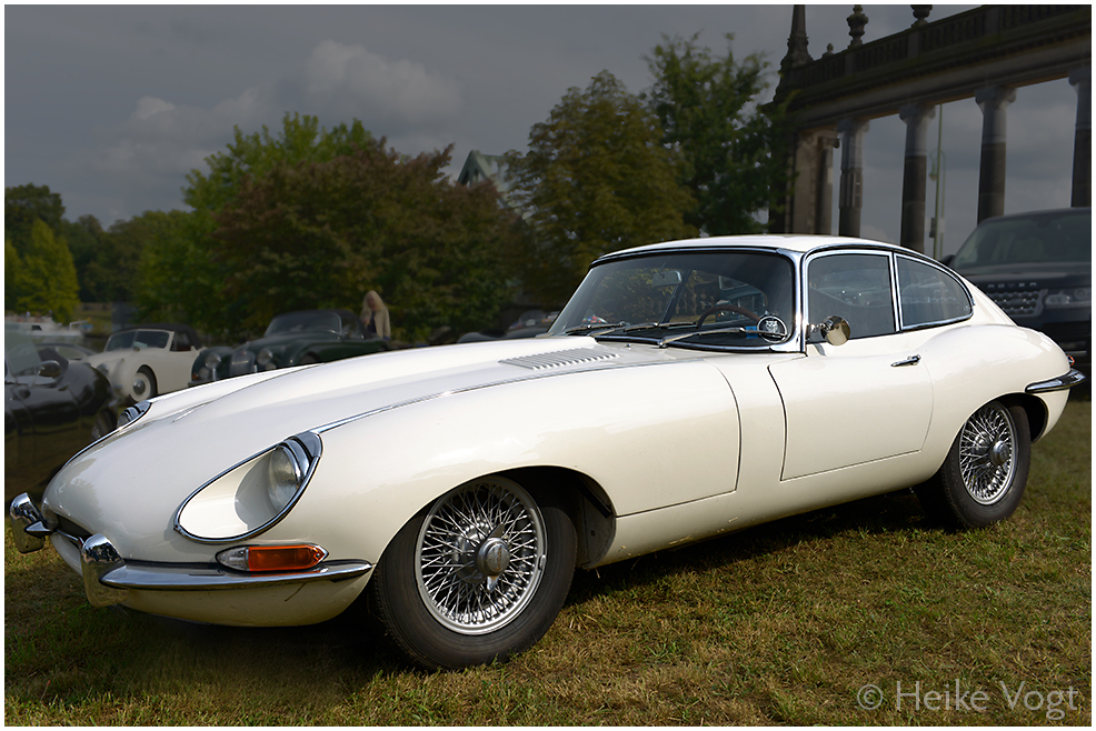 Les 24 Tours Du Pont - Jaguar E-Type