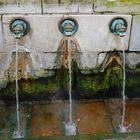 Les 3 barbus de la Fontaine chaude ....