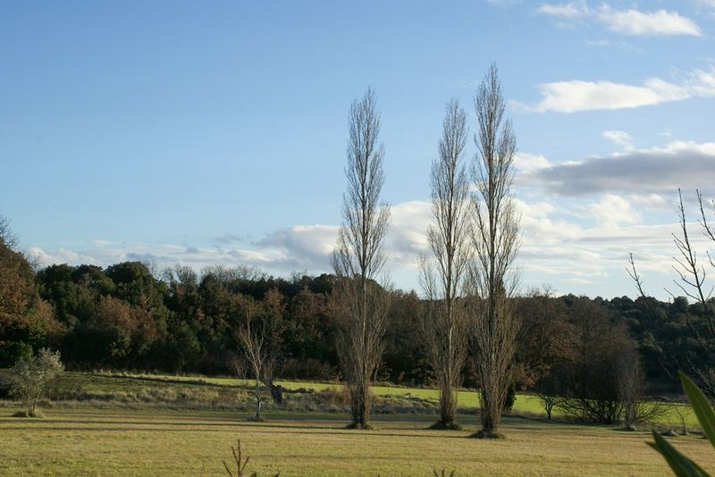 Les 3 Frères