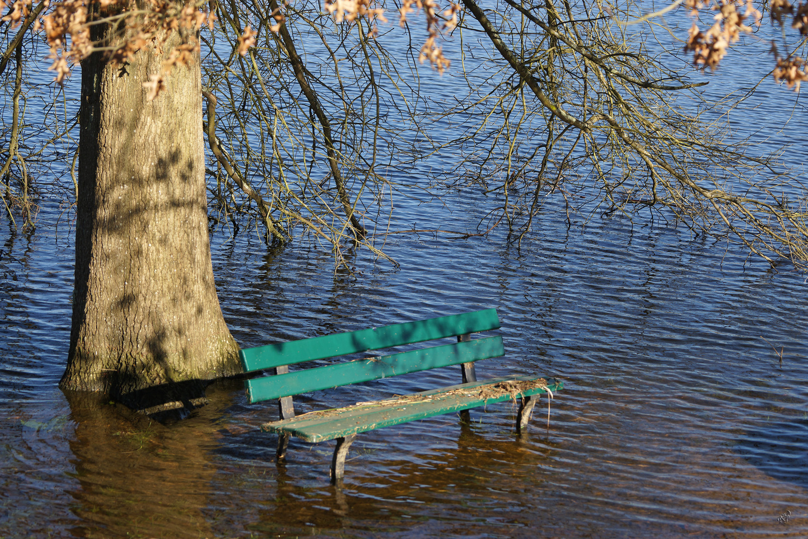 Les 4 pieds dans l'eau ....