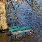 Les 4 pieds dans l'eau ....