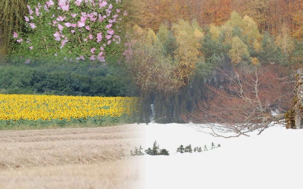 les 4 saisons