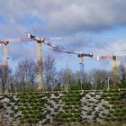 Les 5 grues de Kerlaurent GUIPAVAS.