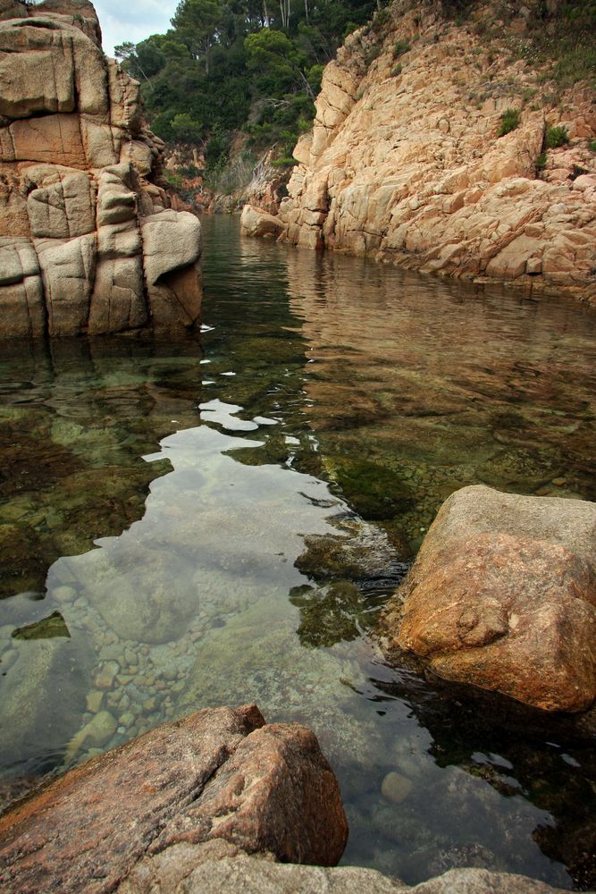 Les aigües són clares, els pins fan olor