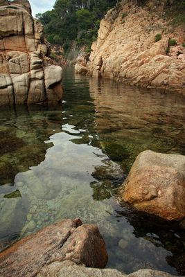 Les aigües són clares, els pins fan olor