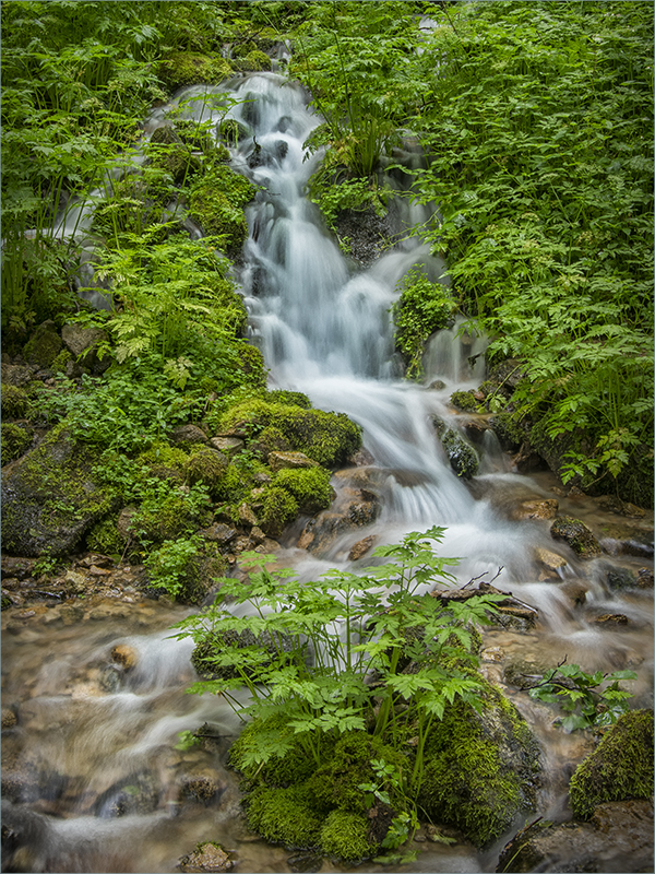 les aigues vives Foto & Bild wald, wasser, grün Bilder auf