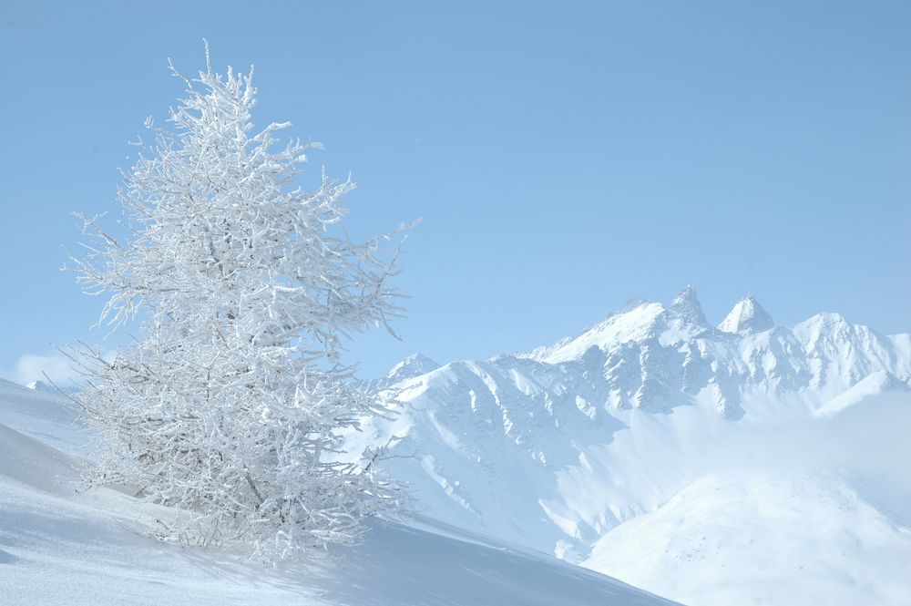 Les Aiguilles d'Arves de Garnier.Cl 