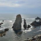 Les aiguilles de Port-Coton