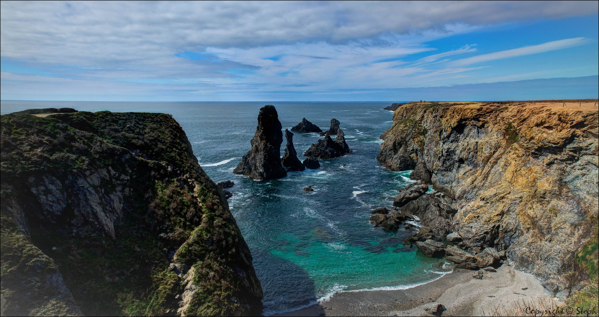 Les aiguilles de Port-Coton