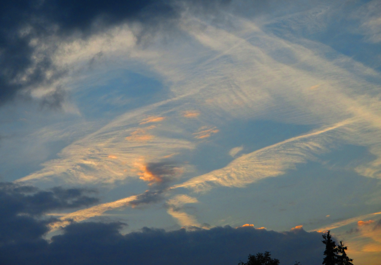 les ailes des anges 