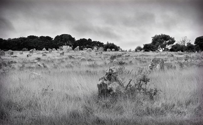 Les alignements de Carnac