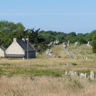 Les alignements de Carnac