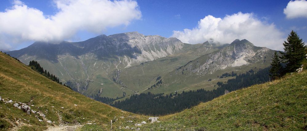 les Alpes de detelder dominique 