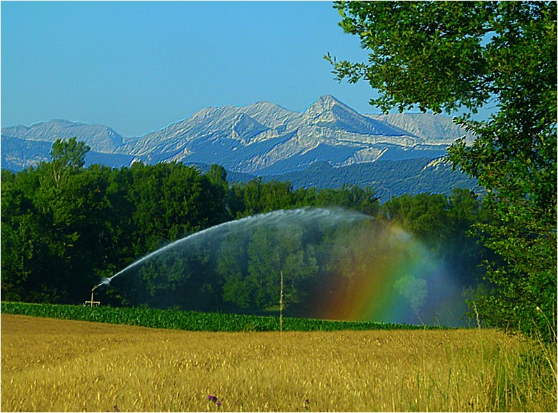 * les Alpes de Haute-Provence*