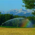 * les Alpes de Haute-Provence*