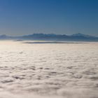 les Alpes depuis le Balcon du Jura