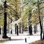 les Alpes en hiver, à lautomne et en étè