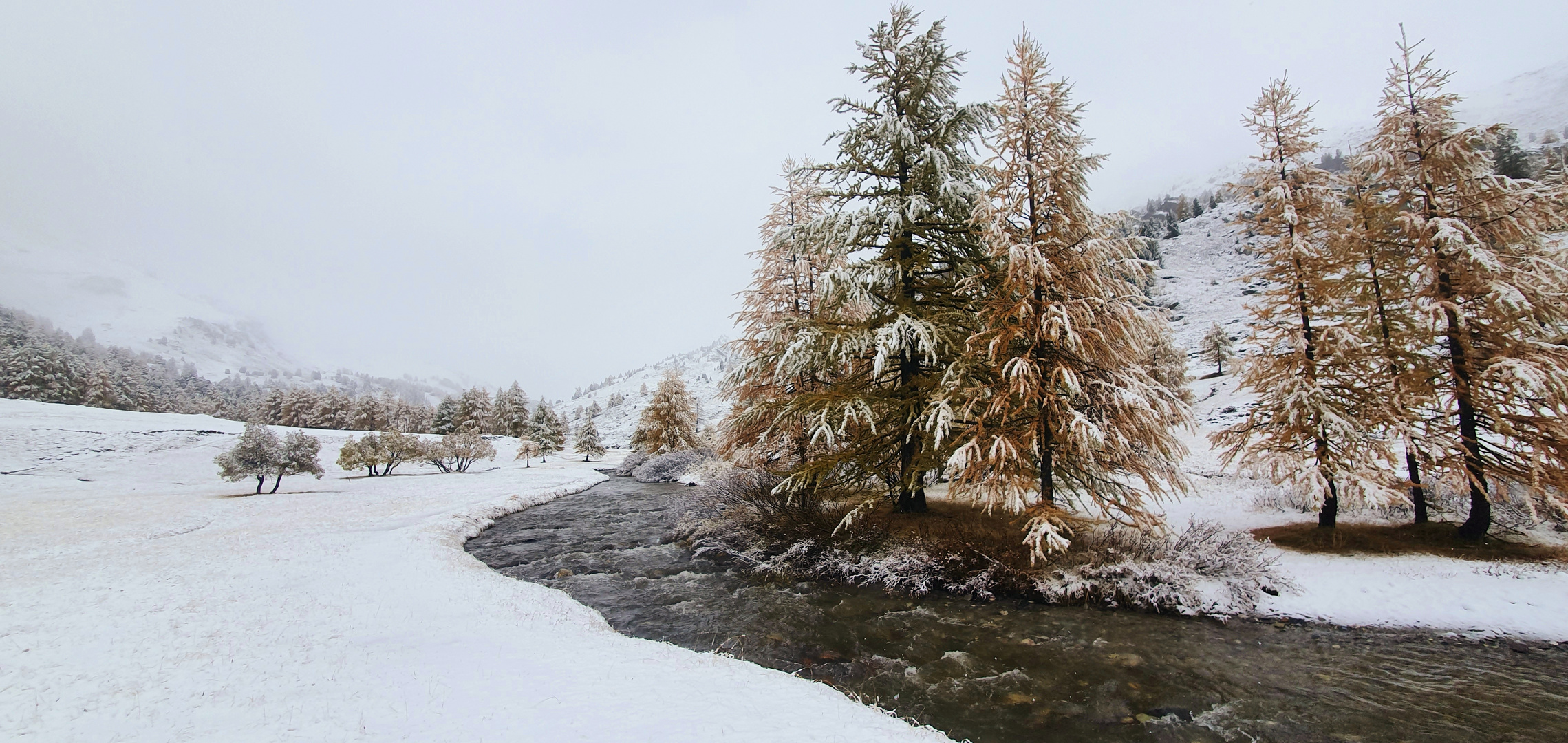 les Alpes en hiver, à lautomne et en étè