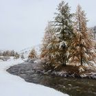 les Alpes en hiver, à lautomne et en étè