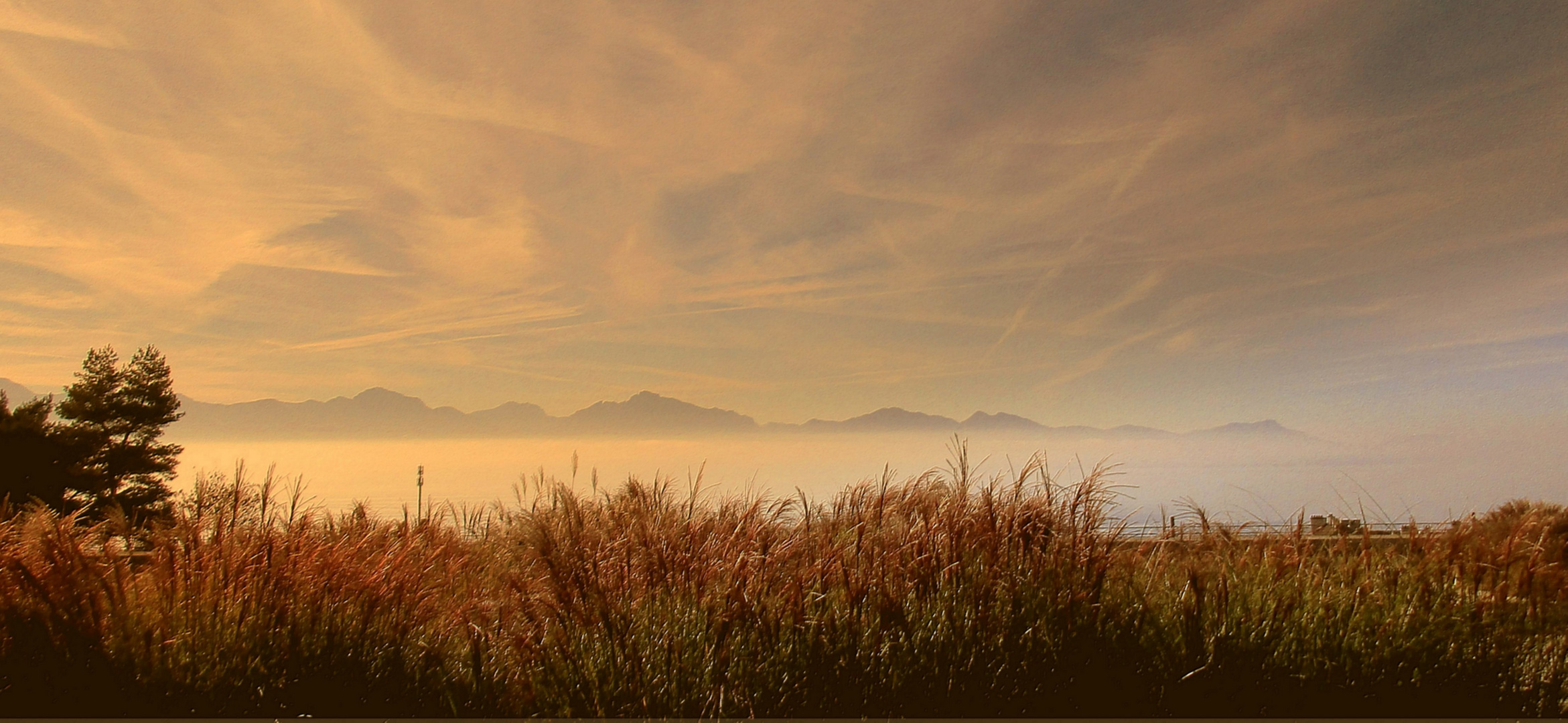 les Alpes et la brume sur le lac...