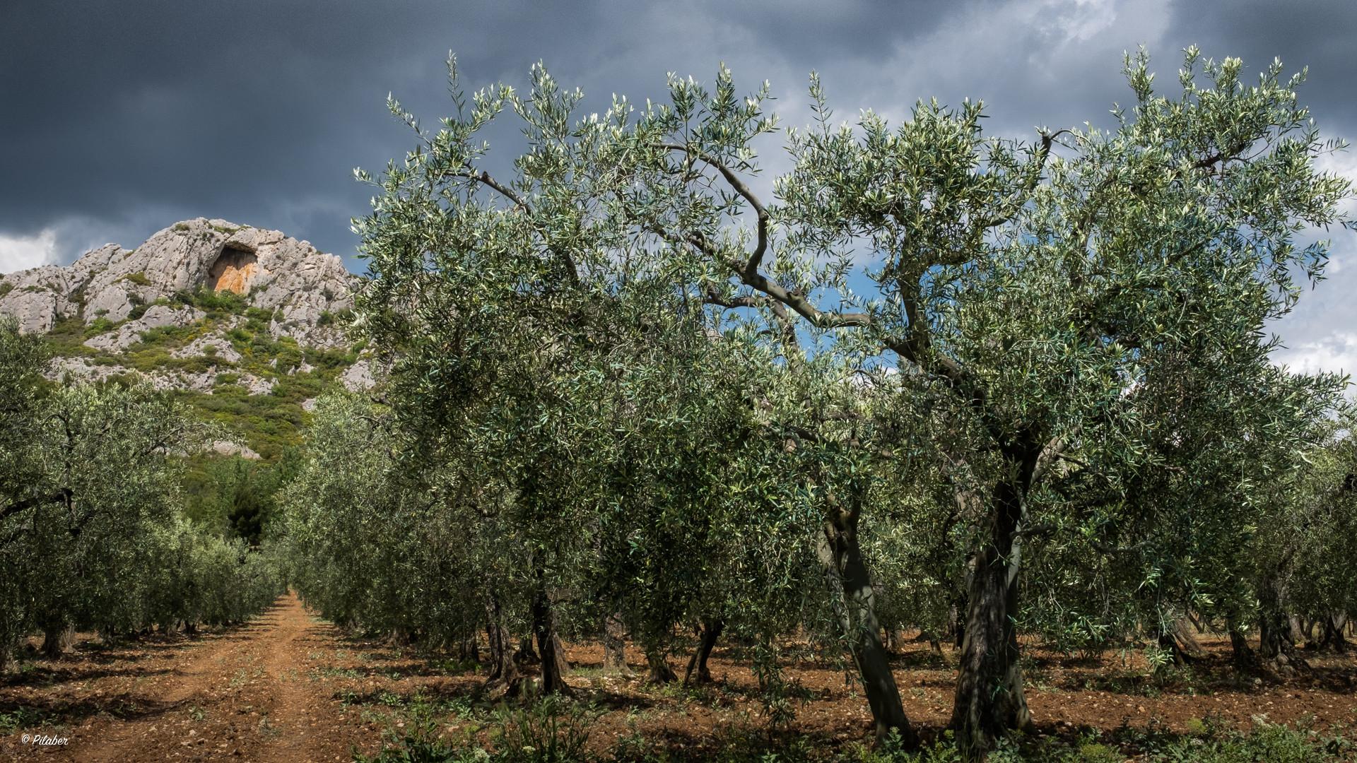 Les Alpilles 2